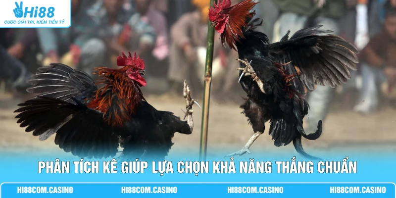 Đá Gà Kiểng - Cập Nhật Các Quy Định Luật Chơi Mới Hiện Nay 3 Phân tích kê giúp lựa chọn khả năng thắng chuẩn